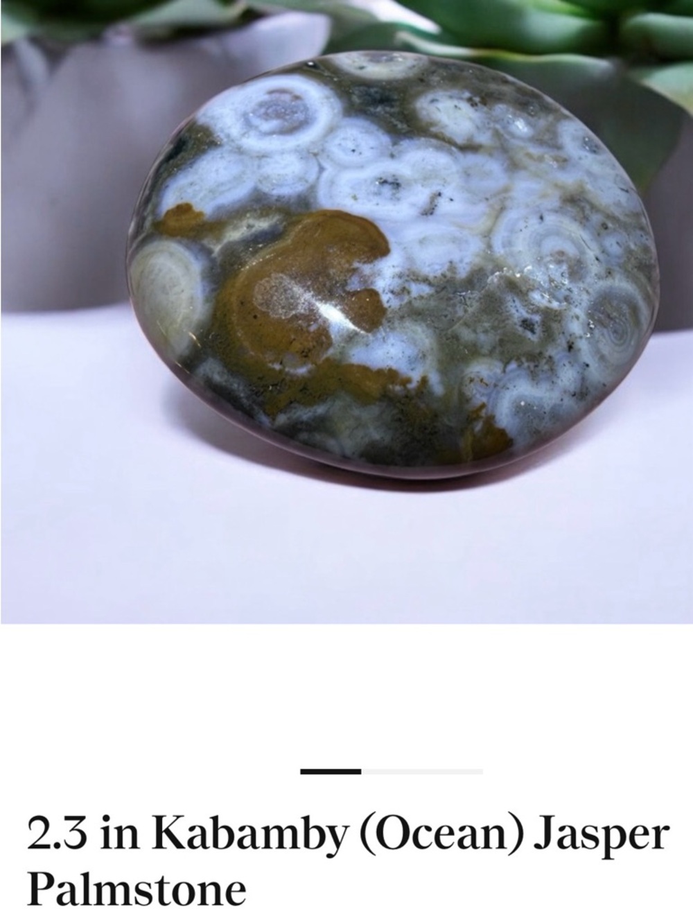 Polished Ocean Jasper Decorative Palm Stone - Green and White